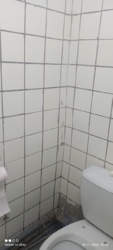   83  ,       10