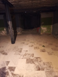 Аренда цокольного помещеня с от.входом на пр.Яворницкого ( около Главпоштампа) фото 2 Аренда цокольного помещеня с от.входом на пр.Яворницкого ( около Главпоштампа) фото 2