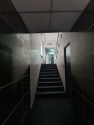   , ,  ., 33, .   33