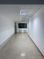   , ,  ., 59, .   15