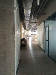 LOFT      7