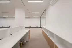   , , .   17