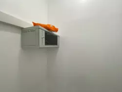   , ,  , 7, .   18
