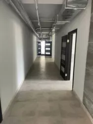 ������� ���� �������, ����, ������������, ������������ ���� / ����������� ���� 14