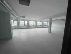 ������� ���� �������, ����, ������������, ������������ ���� / ����������� ���� 13