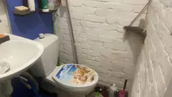 ������� ���� ������������� �-� �� ������, ����, �������, ������������ ���� 2