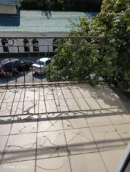 ������� ���� �������, ����, ������������, ������������ ���� 3