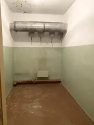 ������� ���� �������� ����� ��������������, ����, �������, ������������ ���� 18