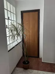 ������� ���� ����������, ����, �������, ������������ ���� 3