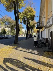 ������� ���� �������, ����, ������������, �������� ���� 8