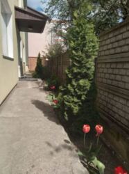 Здається офісне приміщення площею 250 кв.м. Недорого. Район Вишенька. фото 3 Здається офісне приміщення площею 250 кв.м. Недорого. Район Вишенька. фото 3