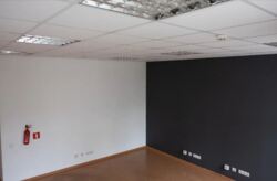 ������ �������� ��������� �� ���� ����������� ����� 297 ��.�. ���� 8