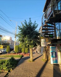 Здається комерційне приміщення 19 кв.м. Замосятнський район центральна вулиця. фото 2 Здається комерційне приміщення 19 кв.м. Замосятнський район центральна вулиця. фото 2