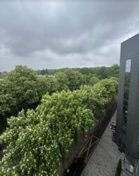 Оренда офісного приміщення в р-ні Вишенька! 700 кв.м. фото 3 Оренда офісного приміщення в р-ні Вишенька! 700 кв.м. фото 3