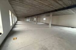 Оренда офісного приміщення на вул. Стефаника Василя площа 620 кв.м. фото 5 Оренда офісного приміщення на вул. Стефаника Василя площа 620 кв.м. фото 5