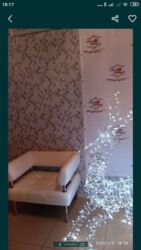  ,  ,     . 5 000 .  7