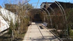  ,  ,     . 5 000 .  10