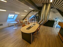 Deluxe Office S=430 sqr.m.  12
