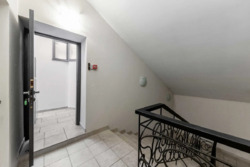 ������� ���� ���� 11