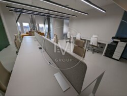 Deluxe Office S=430 sqr.m.  7