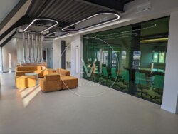 Deluxe Office S=430 sqr.m.  1