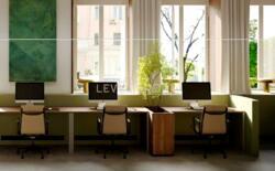 оренда офісу Богдана Хмельницького вул., 32 фото 7 оренда офісу Богдана Хмельницького вул., 32 фото 7