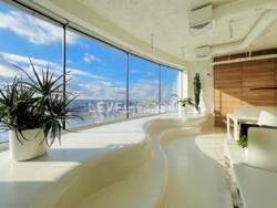 ������-���� ���������� ���� ��������, ��������� ���� 7, 40-� ������, Carnegie Tower, 250 �2, 28 ������� ���� ���� 5