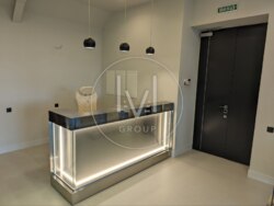 Deluxe Office S=430 sqr.m.  4