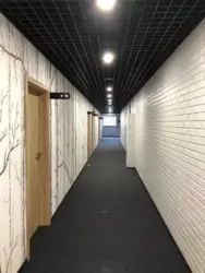 .   3000 ..   . ³ , , .  5