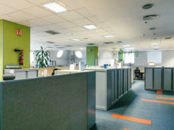 ���� ������� ����������� ���� 1200 �2 ��� ���� ���� 1