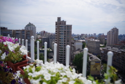 ������� ����������� ���� ������ ���������� ѳ����� �������� ��� % ���� 20