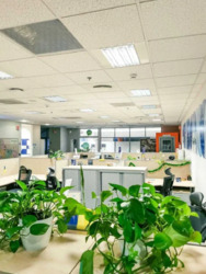 ���� ������� ����������� ���� 1200 �2 ��� ���� ���� 2