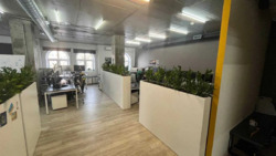 ������� ���� �������������, ���, ����������, �. ����������� ����� ���� 2