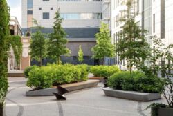 ����������� ���� ��������� ����������� 315 �2 ��� ���� ���� 5