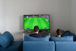 ������� ����������� ���� ������ ���������� ѳ����� �������� ��� % ���� 14