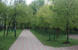 Салон йога фітнес Зелений острів Берестейська Сікорського Генератор фото 11 Салон йога фітнес Зелений острів Берестейська Сікорського Генератор фото 11