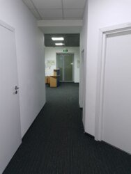 �ϲ ��������� ������� ������� ���� 1000 �2 ��� ���� ���� 17