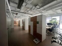 �������� ���������� ����������� ���� 6