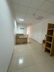 ������� ���� 393 �2 ѳ��������� ������������ ������� ��� ���� ���� 15