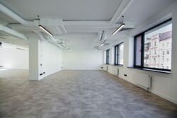 Олімпійська Університет Володимирська Саксаганського офіс 487 м2 фото 13 Олімпійська Університет Володимирська Саксаганського офіс 487 м2 фото 13