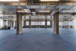 ���� ������������� ����� �������� �� ���� 12