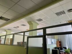 ���� 700 �2 ��������� ����������� ����� ���� 13