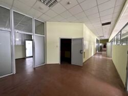 ���� 700 �2 ��������� ����������� ����� ���� 17