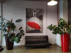 �ϲ ������������ �������� ��������� ���� 970 �2 ��� ���� ���� 13