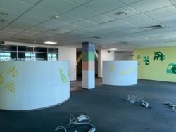 ��������� ����������� ���� 700 �2 ��� ���� ���� 11