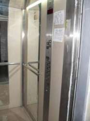 ������� ���� ������������, �����������, �����������, ����� ���� 11