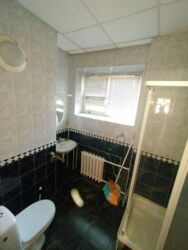 ������� ���� �����������, �����������, �����, ������������, 85 ���� 4