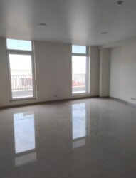 ������� ���� �����������, �����������, �����, ������� ���� 6