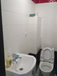 ������� ���� ��������������, �����������, �����������, �������� ���� 11