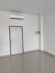 ������� ���� �����������, �����������, �����, ������� ���� 1